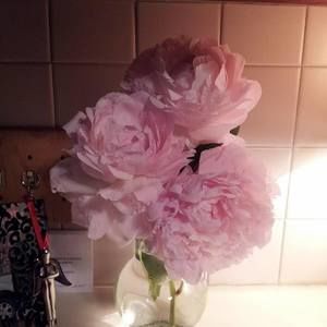 Meet your Posher, Debbie